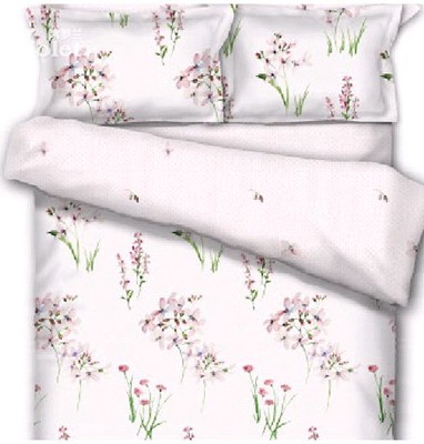 暑熱來(lái)襲 紫羅蘭為您清涼降溫